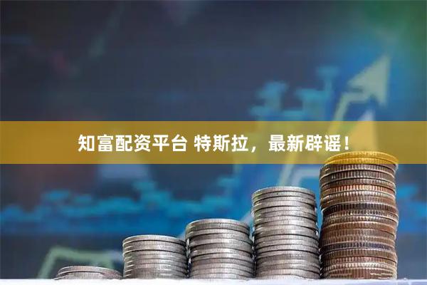 知富配资平台 特斯拉，最新辟谣！