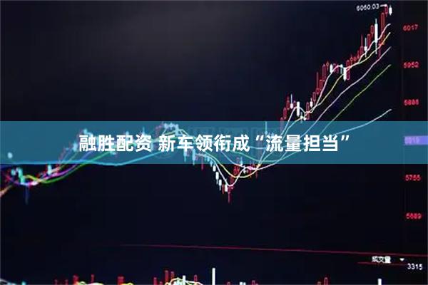 融胜配资 新车领衔成“流量担当”